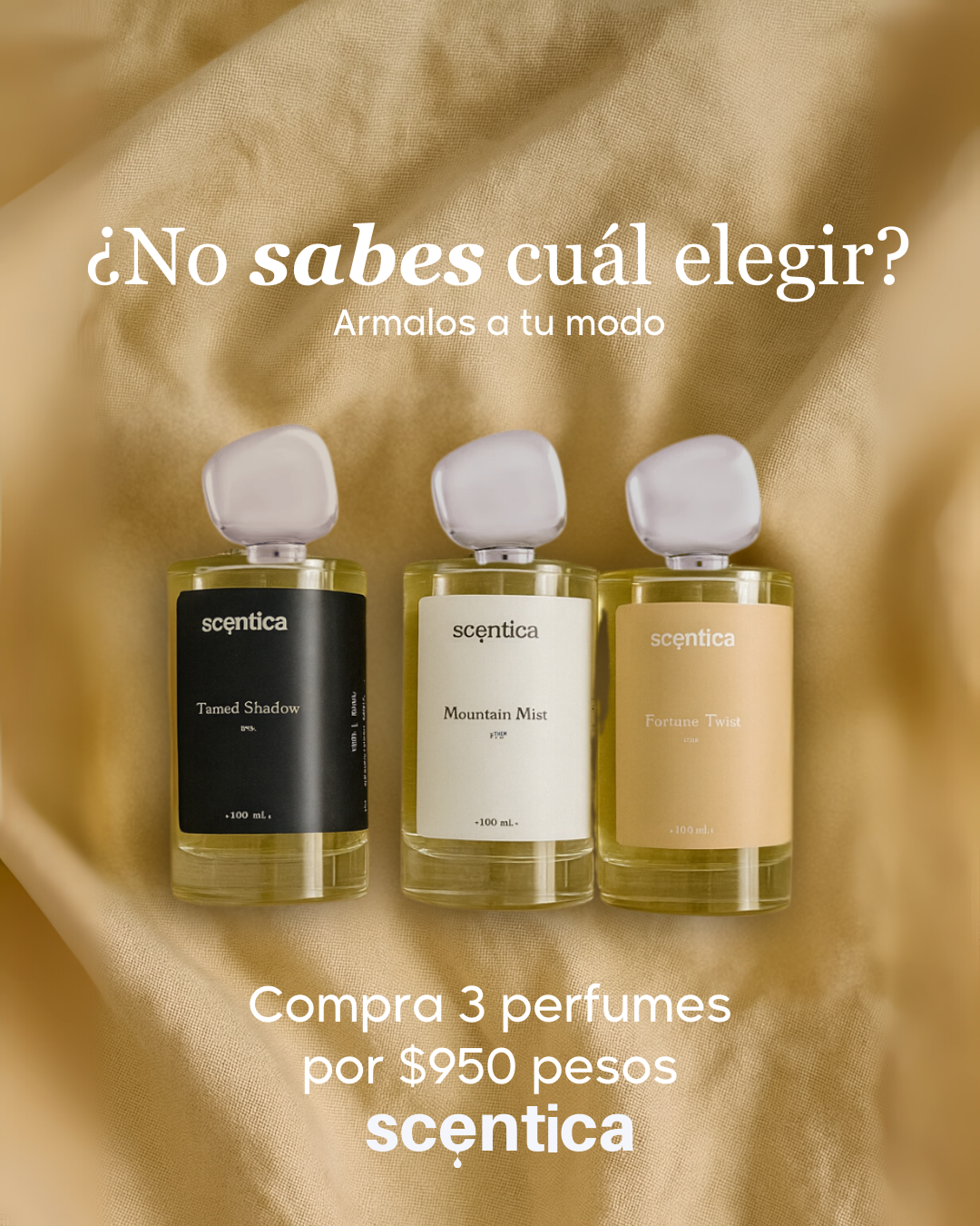 PACK - 3 x 950